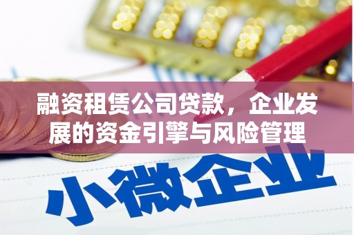 狮子融资租赁公司贷款，企业发展的资金引擎与风险管理
