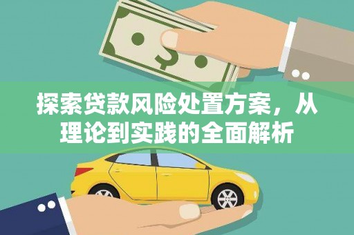 狮子探索贷款风险处置方案，从理论到实践的全面解析