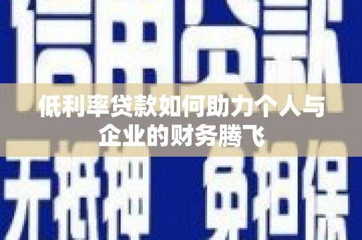 狮子低利率贷款如何助力个人与企业的财务腾飞