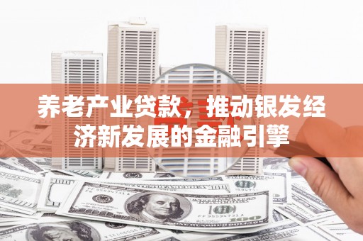 狮子养老产业贷款，推动银发经济新发展的金融引擎