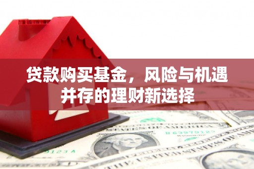 狮子贷款购买基金，风险与机遇并存的理财新选择