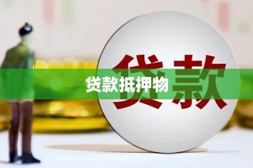 狮子贷款抵押物