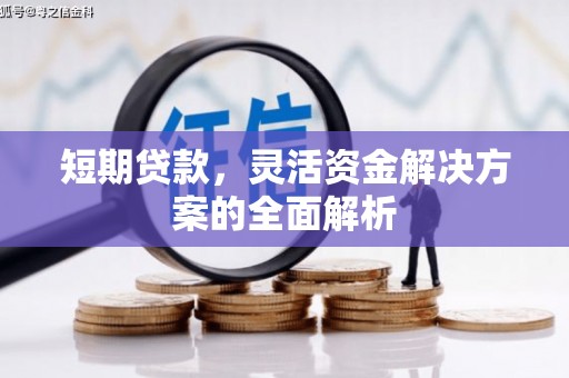 狮子短期贷款，灵活资金解决方案的全面解析