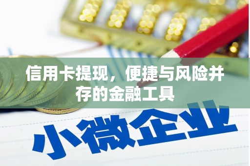 狮子信用卡提现，便捷与风险并存的金融工具