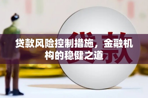 狮子贷款风险控制措施，金融机构的稳健之道
