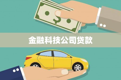 狮子金融科技公司贷款
