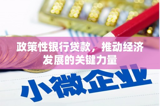 狮子政策性银行贷款，推动经济发展的关键力量