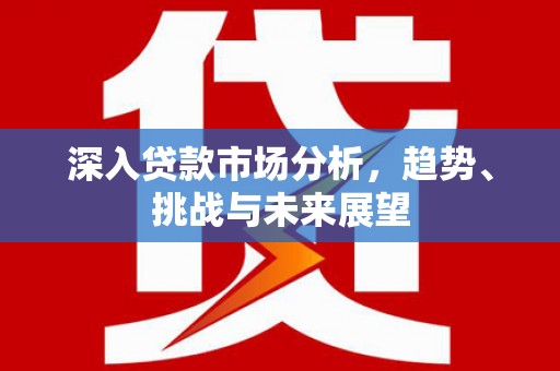 狮子深入贷款市场分析，趋势、挑战与未来展望