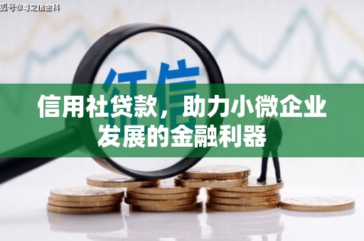 狮子信用社贷款，助力小微企业发展的金融利器