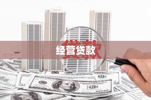 狮子经营贷款