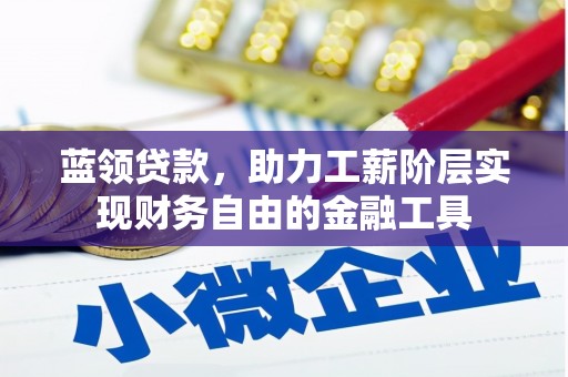 狮子蓝领贷款，助力工薪阶层实现财务自由的金融工具