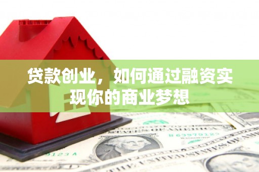 狮子贷款创业，如何通过融资实现你的商业梦想