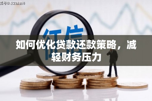 狮子如何优化贷款还款策略，减轻财务压力
