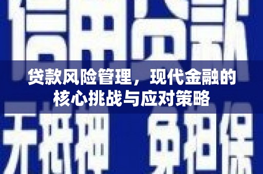 狮子贷款风险管理，现代金融的核心挑战与应对策略