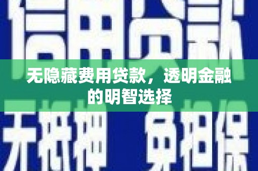 狮子无隐藏费用贷款，透明金融的明智选择