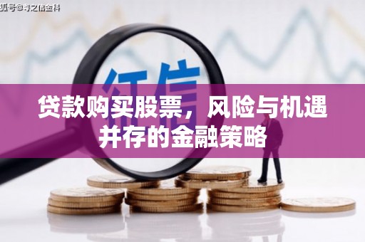 狮子贷款购买股票，风险与机遇并存的金融策略