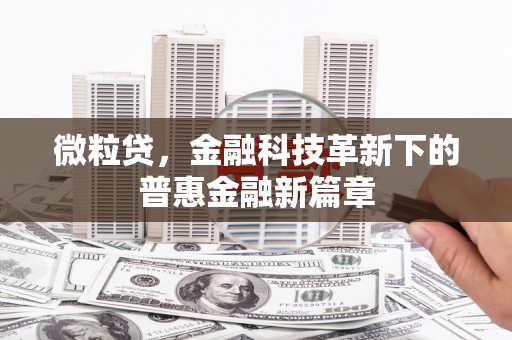 狮子微粒贷，金融科技革新下的普惠金融新篇章