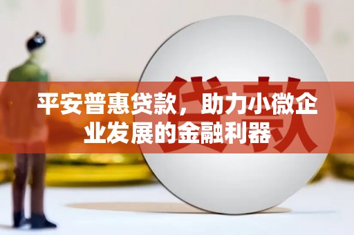 狮子平安普惠贷款，助力小微企业发展的金融利器