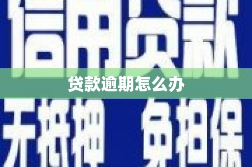 狮子贷款逾期怎么办
