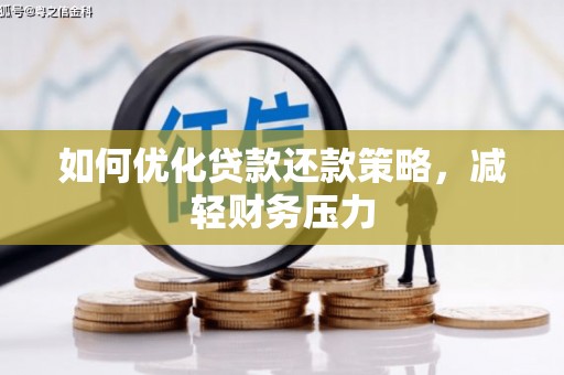 狮子如何优化贷款还款策略，减轻财务压力
