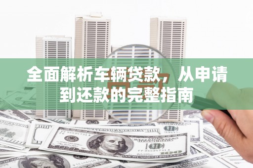 狮子全面解析车辆贷款，从申请到还款的完整指南