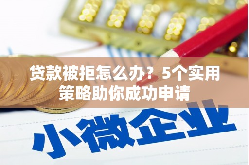 狮子贷款被拒怎么办？5个实用策略助你成功申请
