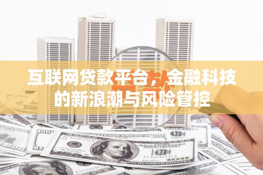 狮子互联网贷款平台，金融科技的新浪潮与风险管控
