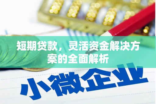 狮子短期贷款，灵活资金解决方案的全面解析