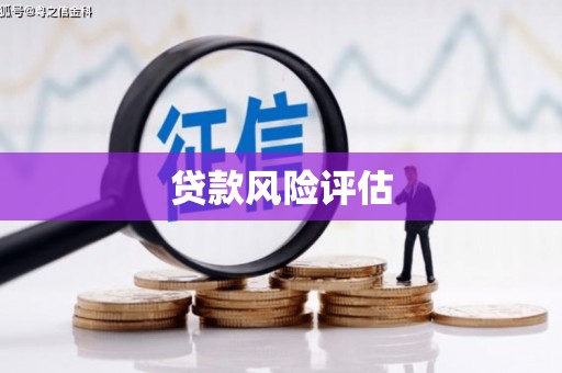狮子贷款风险评估