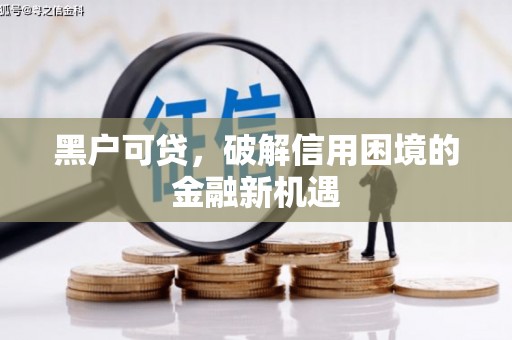 狮子黑户可贷，破解信用困境的金融新机遇