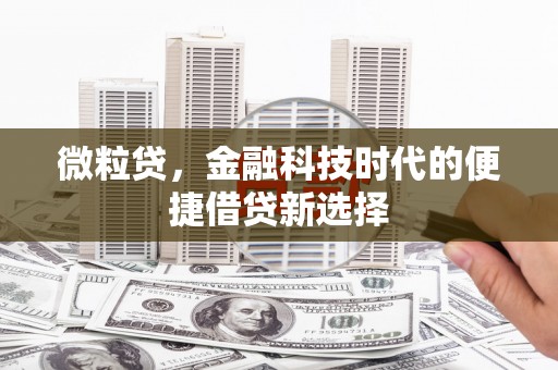 狮子微粒贷，金融科技时代的便捷借贷新选择