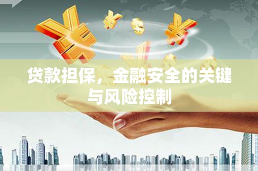狮子贷款担保，金融安全的关键与风险控制