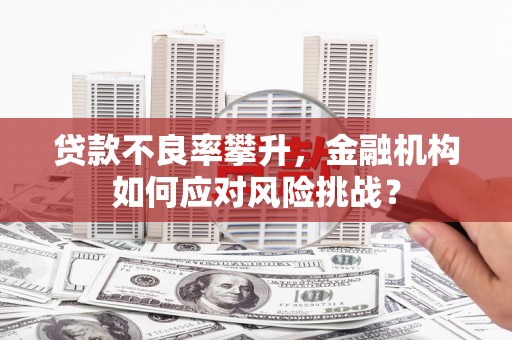 狮子贷款不良率攀升，金融机构如何应对风险挑战？