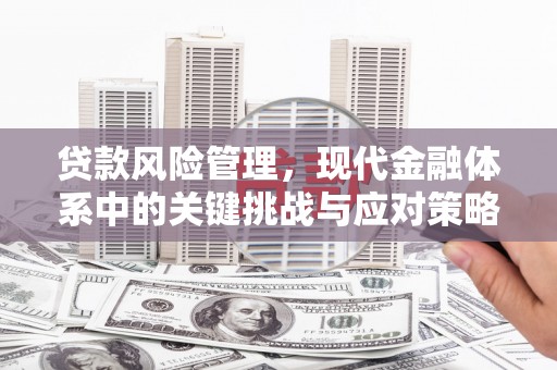 狮子贷款风险管理，现代金融体系中的关键挑战与应对策略