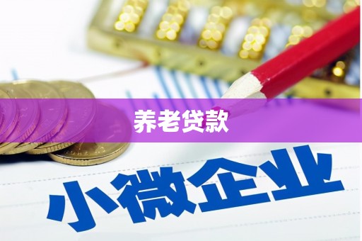 狮子养老贷款