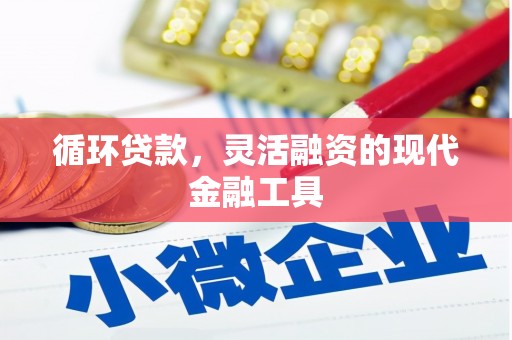 狮子循环贷款，灵活融资的现代金融工具