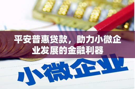 狮子平安普惠贷款，助力小微企业发展的金融利器