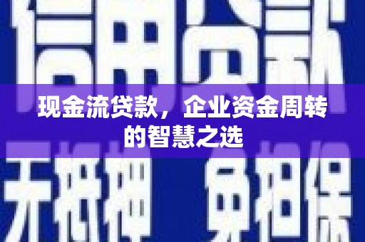 狮子现金流贷款，企业资金周转的智慧之选