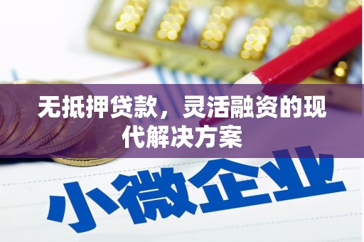 狮子无抵押贷款，灵活融资的现代解决方案