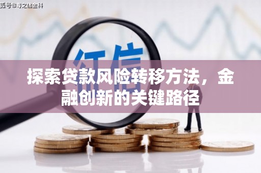 狮子探索贷款风险转移方法，金融创新的关键路径