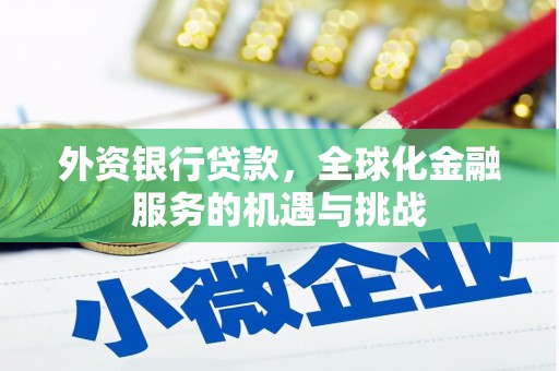 狮子外资银行贷款，全球化金融服务的机遇与挑战
