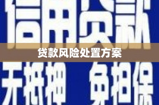 狮子贷款风险处置方案