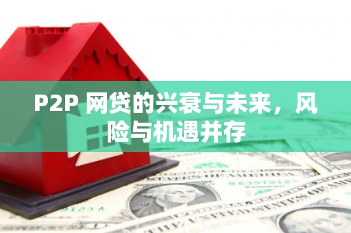 狮子P2P 网贷的兴衰与未来，风险与机遇并存