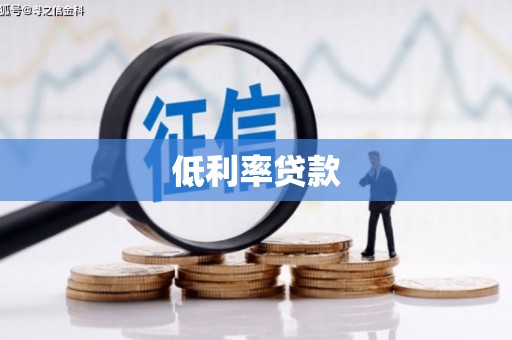 狮子低利率贷款