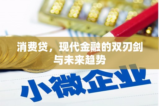 狮子消费贷，现代金融的双刃剑与未来趋势