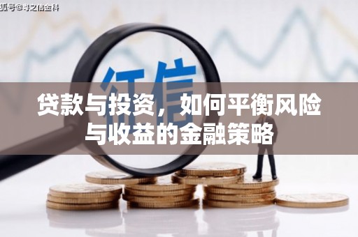 狮子贷款与投资，如何平衡风险与收益的金融策略