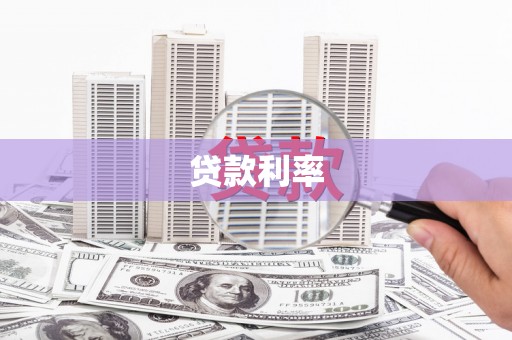 狮子贷款利率