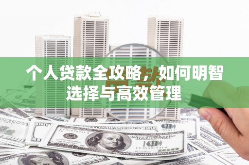 狮子个人贷款全攻略，如何明智选择与高效管理