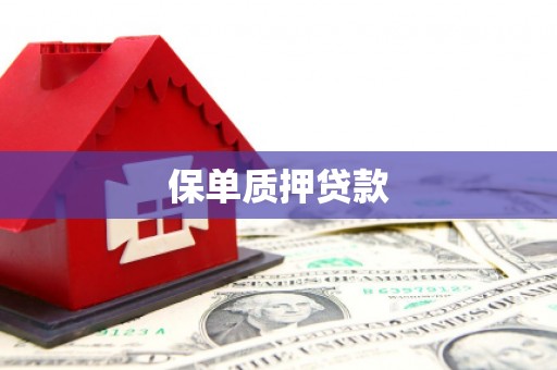 狮子保单质押贷款