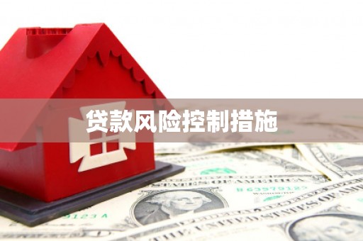 狮子贷款风险控制措施
